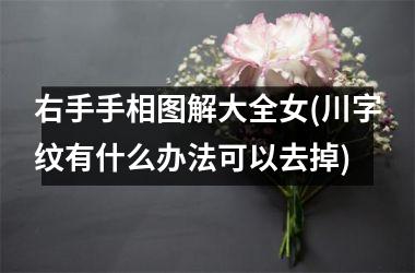 右手手相图解大全女(川字纹有什么办法可以去掉)