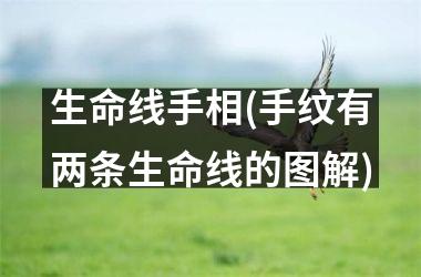 生命线手相(手纹有两条生命线的图解)