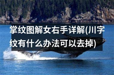 掌纹图解女右手详解(川字纹有什么办法可以去掉)