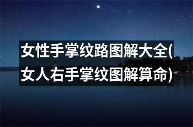 女性手掌纹路图解大全(女人右手掌纹图解算命)