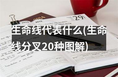 生命线代表什么(生命线分叉20种图解)
