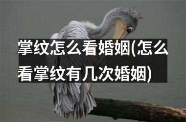 掌纹怎么看婚姻(怎么看掌纹有几次婚姻)