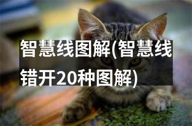 智慧线图解(智慧线错开20种图解)