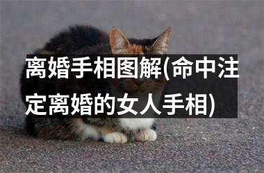 离婚手相图解(命中注定离婚的女人手相)