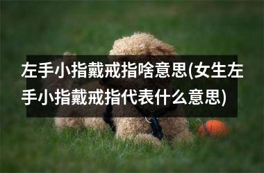 左手小指戴戒指啥意思(女生左手小指戴戒指代表什么意思)