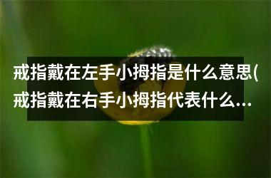 <h3>戒指戴在左手小拇指是什么意思(戒指戴在右手小拇指代表什么意思)
