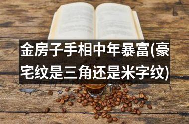 金房子手相中年暴富(豪宅纹是三角还是米字纹)