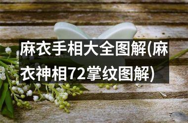 <h3>麻衣手相大全图解(麻衣神相72掌纹图解)