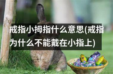 戒指小拇指什么意思(戒指为什么不能戴在小指上)