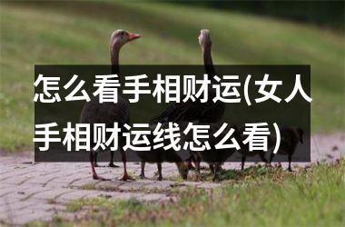 <h3>怎么看手相财运(女人手相财运线怎么看)