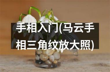 手相入门(马云手相三角纹放大照)