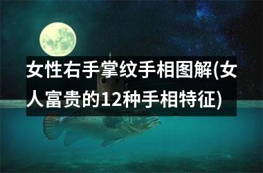 女性右手掌纹手相图解(女人富贵的12种手相特征)