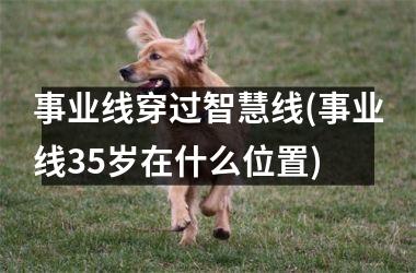 事业线穿过智慧线(事业线35岁在什么位置)