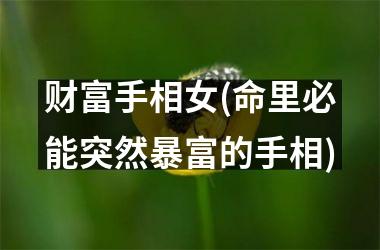 <h3>财富手相女(命里必能突然暴富的手相)
