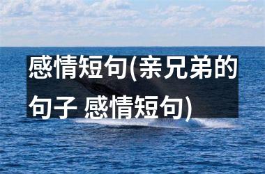 感情短句(亲兄弟的句子 感情短句)