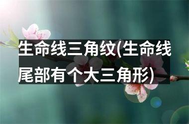 生命线三角纹(生命线尾部有个大三角形)