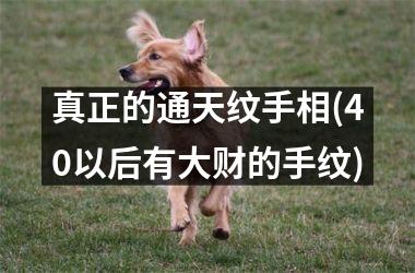 真正的通天纹手相(40以后有大财的手纹)