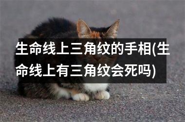 <h3>生命线上三角纹的手相(生命线上有三角纹会死吗)