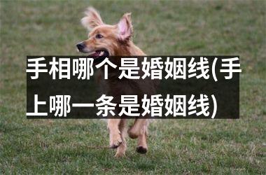 手相哪个是婚姻线(手上哪一条是婚姻线)