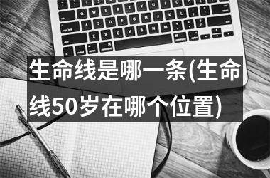 <h3>生命线是哪一条(生命线50岁在哪个位置)