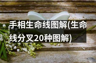 手相生命线图解(生命线分叉20种图解)