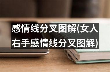 感情线分叉图解(女人右手感情线分叉图解)