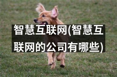 智慧互联网(智慧互联网的公司有哪些)