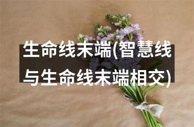 <h3>生命线末端(智慧线与生命线末端相交)
