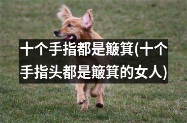 十个手指都是簸箕(十个手指头都是簸箕的女人)