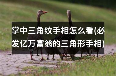 掌中三角纹手相怎么看(必发亿万富翁的三角形手相)