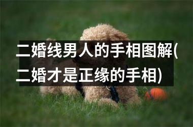 二婚线男人的手相图解(二婚才是正缘的手相)