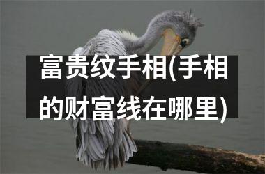 富贵纹手相(手相的财富线在哪里)
