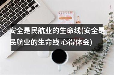 <h3>安全是民航业的生命线(安全是民航业的生命线 心得体会)