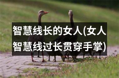 <h3>智慧线长的女人(女人智慧线过长贯穿手掌)