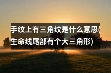 <h3>手纹上有三角纹是什么意思(生命线尾部有个大三角形)
