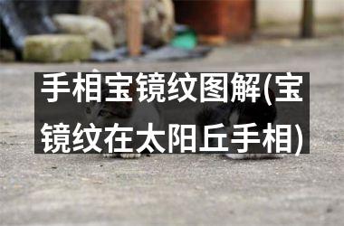 手相宝镜纹图解(宝镜纹在太阳丘手相)