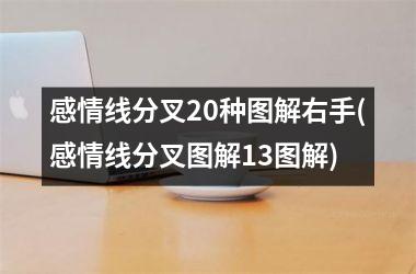 感情线分叉20种图解右手(感情线分叉图解13图解)