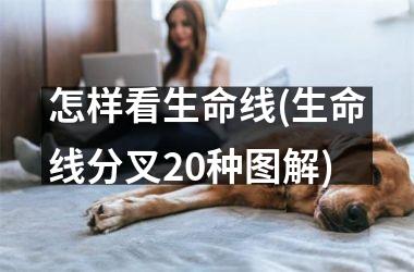 怎样看生命线(生命线分叉20种图解)