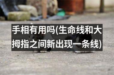 手相有用吗(生命线和大拇指之间新出现一条线)