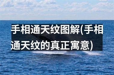 <h3>手相通天纹图解(手相通天纹的真正寓意)