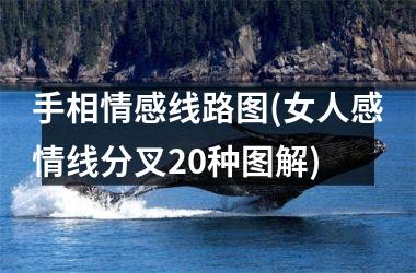 手相情感线路图(女人感情线分叉20种图解)