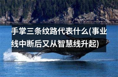 <h3>手掌三条纹路代表什么(事业线中断后又从智慧线升起)