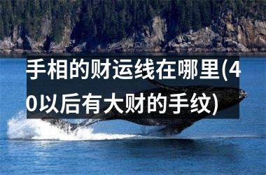<h3>手相的财运线在哪里(40以后有大财的手纹)