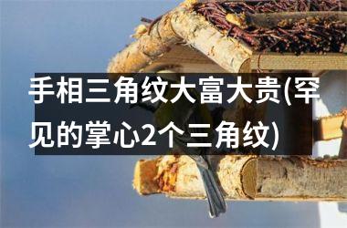 <h3>手相三角纹大富大贵(罕见的掌心2个三角纹)