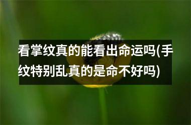 看掌纹真的能看出命运吗(手纹特别乱真的是命不好吗)