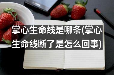 掌心生命线是哪条(掌心生命线断了是怎么回事)