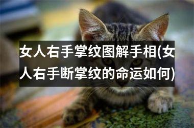 女人右手掌纹图解手相(女人右手断掌纹的命运如何)