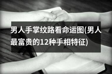 男人手掌纹路看命运图(男人最富贵的12种手相特征)