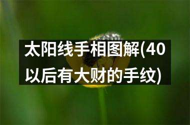 太阳线手相图解(40以后有大财的手纹)