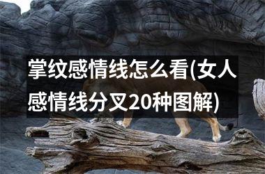 掌纹感情线怎么看(女人感情线分叉20种图解)